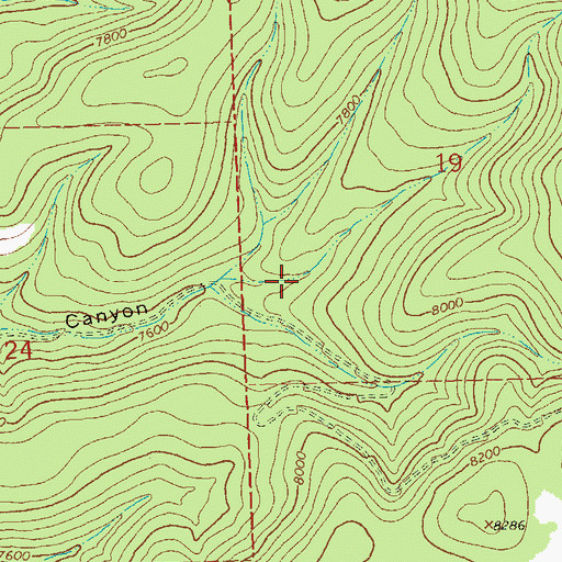 Topographic Map of Elkhorn Spring, NM