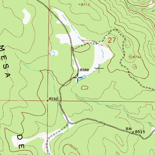 Topographic Map of Benjamin Tank, NM