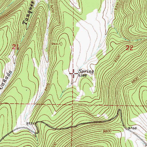 Topographic Map of Oso Spring, NM