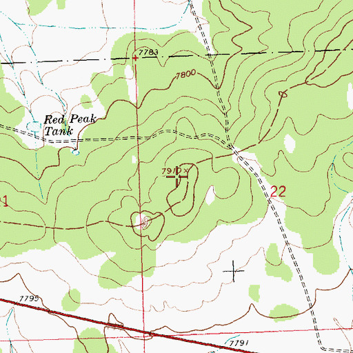 Topographic Map of Red Peak, NM