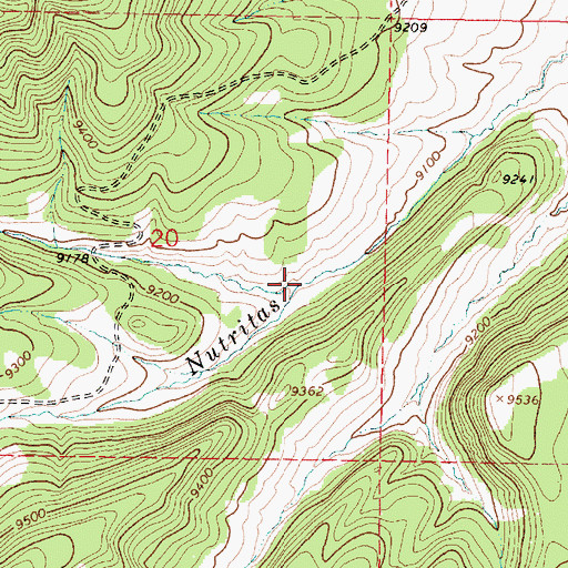 Topographic Map of Tanques Cany, NM