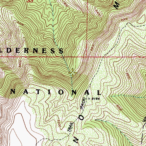 Topographic Map of Yellowstone Spring, NM