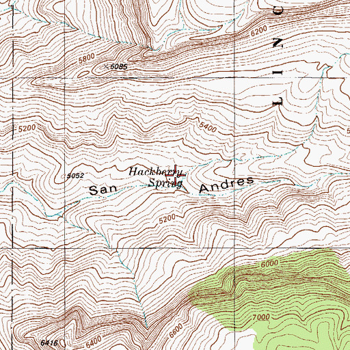 Topographic Map of Hackberry Spring, NM