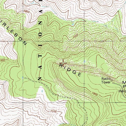 Topographic Map of Burleson Ridge, NM