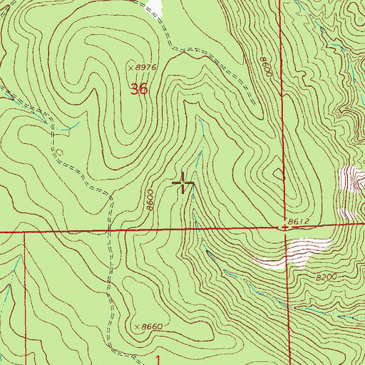 Topographic Map of Lost Spring, NM