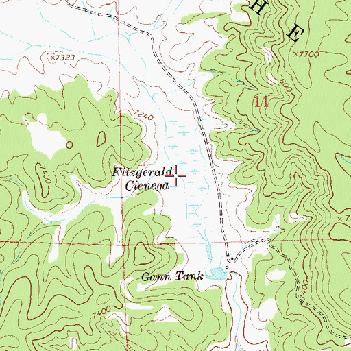 Topographic Map of Fitzgerald Cienega, NM