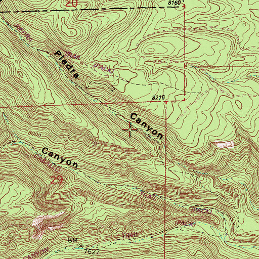 Topographic Map of Agua Piedra Trail, NM