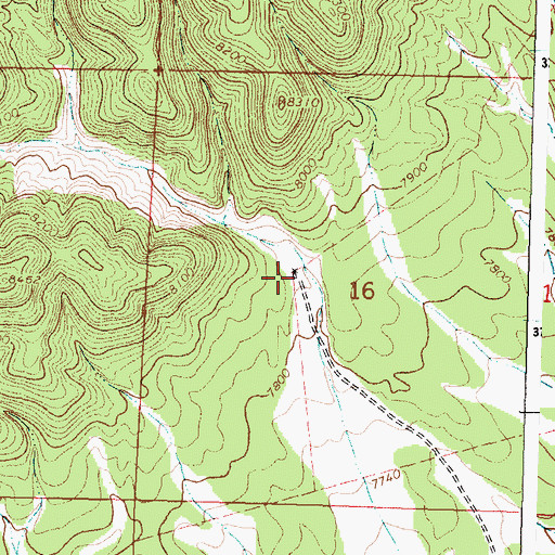Topographic Map of Buck Windmill, NM