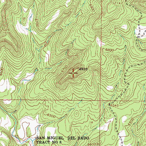 Topographic Map of Cerrito Pelon, NM
