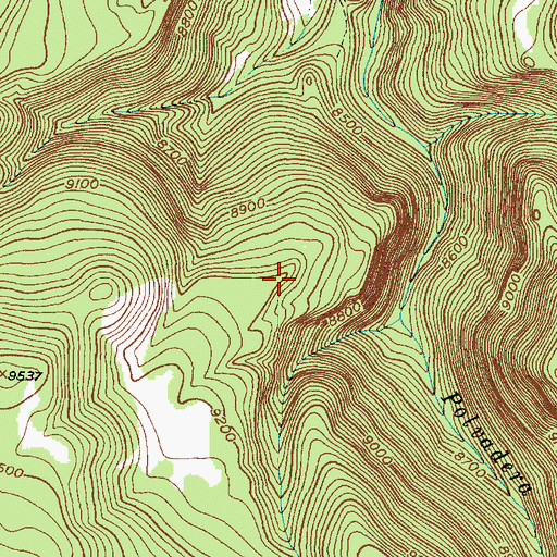 Topographic Map of Bancos Loop, NM
