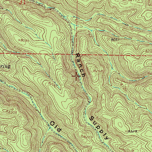 Topographic Map of Ranch Supply Spring, NM