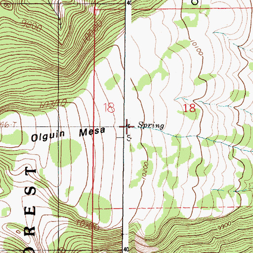 Topographic Map of Spring Number One, NM