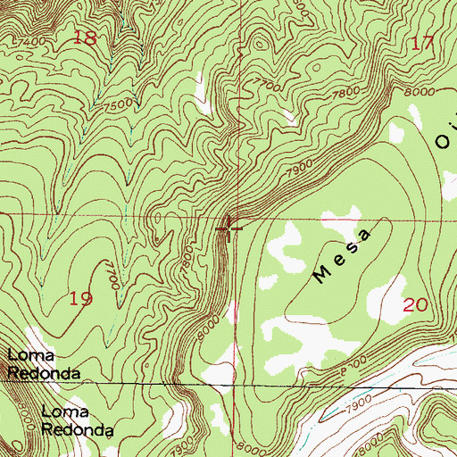 Topographic Map of Ojitos Spring, NM