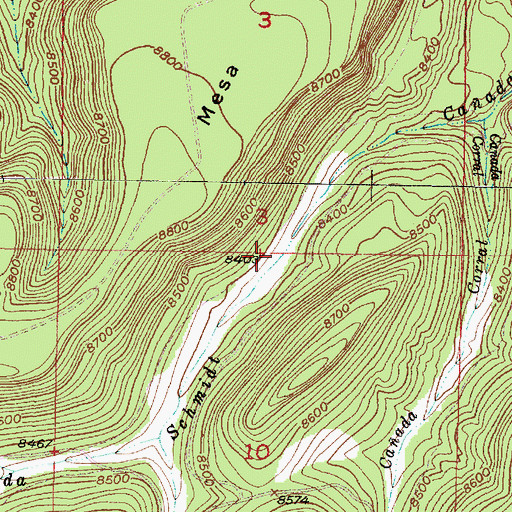 Topographic Map of Casey Spring, NM