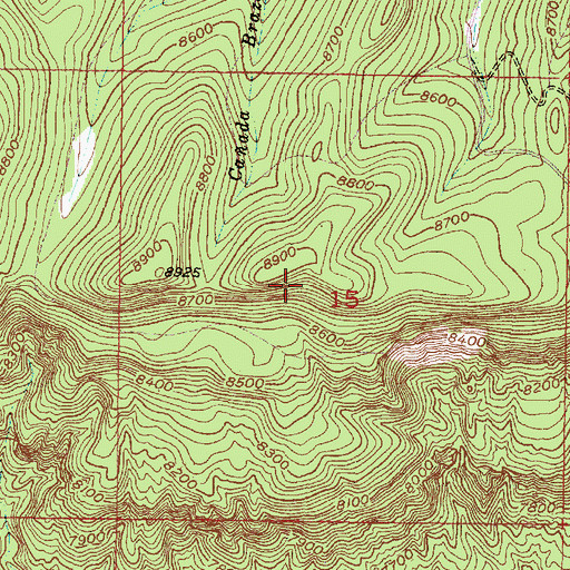 Topographic Map of Mesa Alta Wildlife Trick Tank, NM