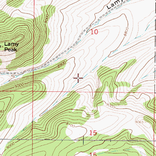 Topographic Map of Meadow Tank, NM
