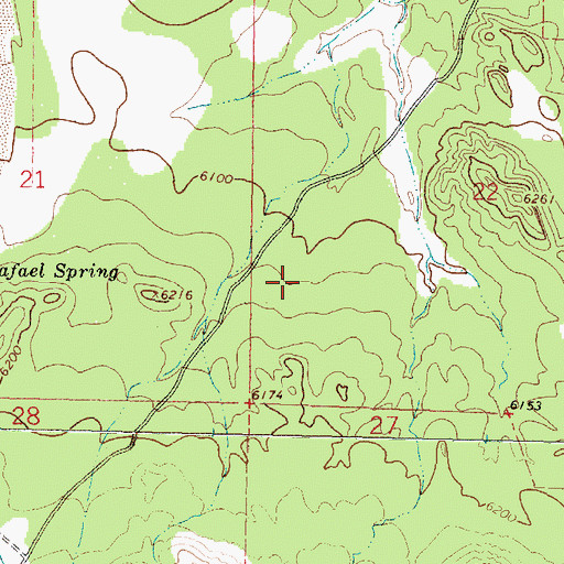 Topographic Map of Bull Pasture Corral, NM