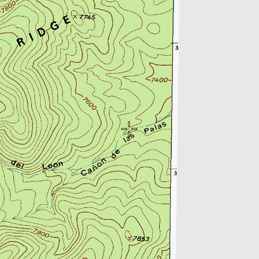 Topographic Map of Bosquesito Spring, NM