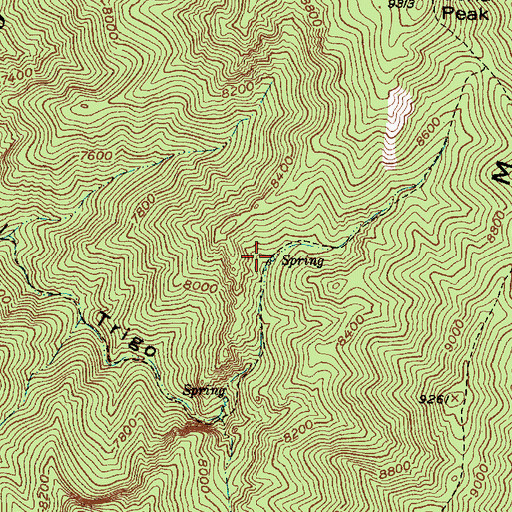 Topographic Map of Log Spring, NM