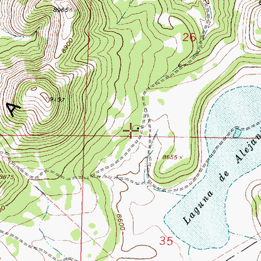 Topographic Map of Alejandro Water Tank, NM