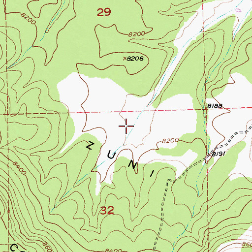 Topographic Map of Rock Spring, NM