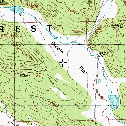 Topographic Map of Steele Flat, NM