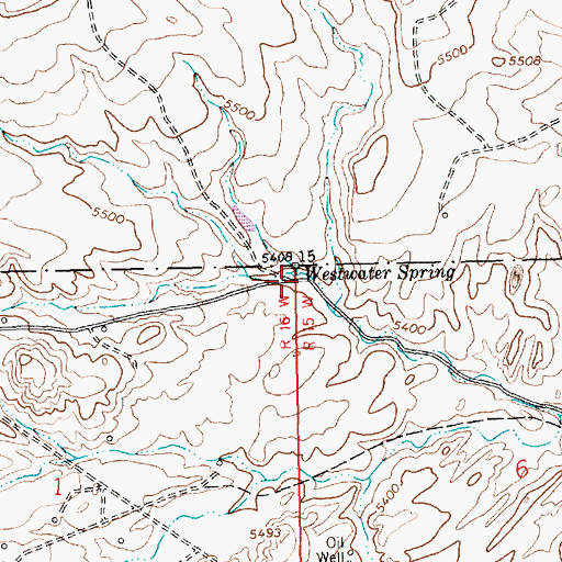 Topographic Map of West Water Spring, NM