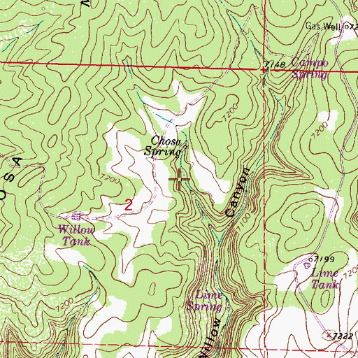 Topographic Map of Willow Spring, NM