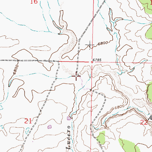 Topographic Map of E Johnson Spring, NM