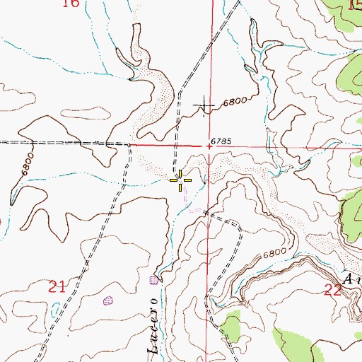 Topographic Map of E Johnson Spring, NM