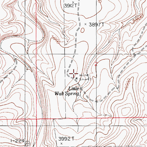 Topographic Map of Little Walt Canyon, NM