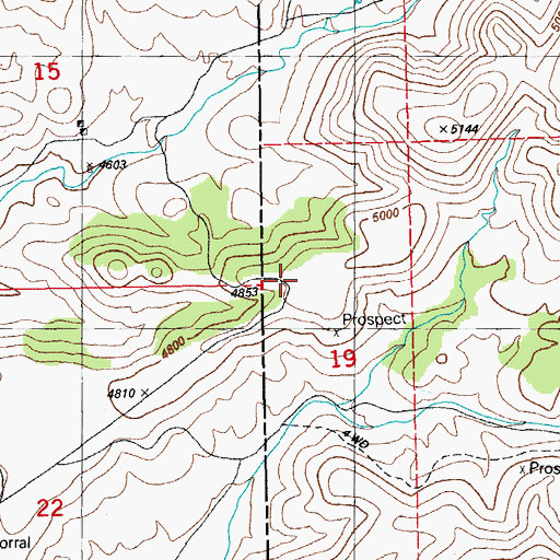 Topographic Map of Leta Lynn Prospect, NM