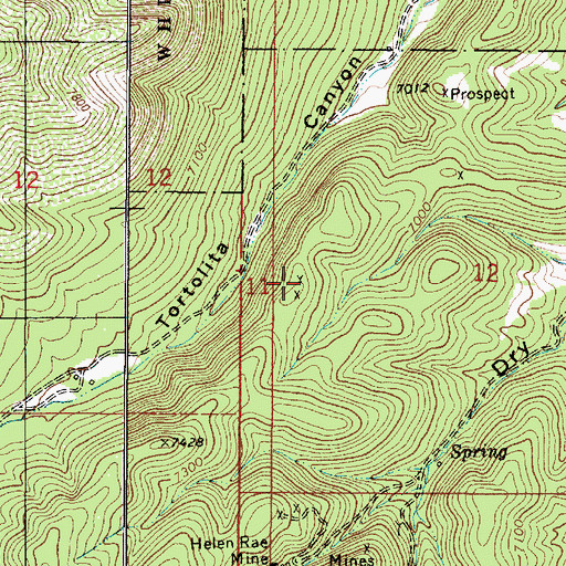 Topographic Map of Last Corner Claim, NM