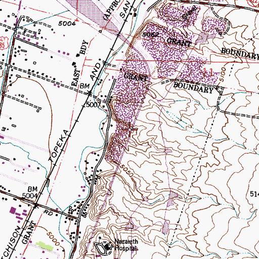 Topographic Map of Wylie Pit, NM