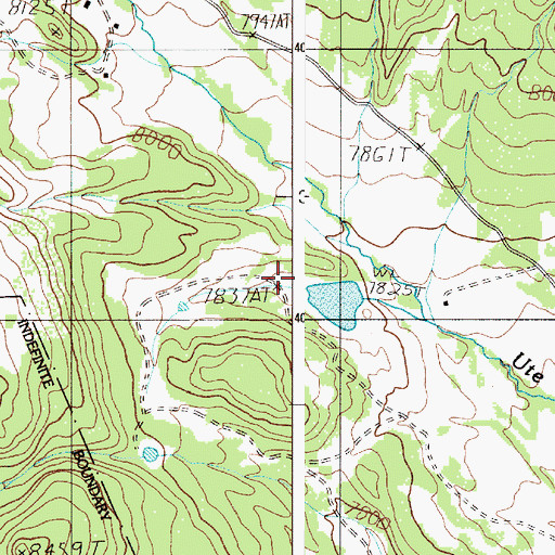 Topographic Map of Allen, NM