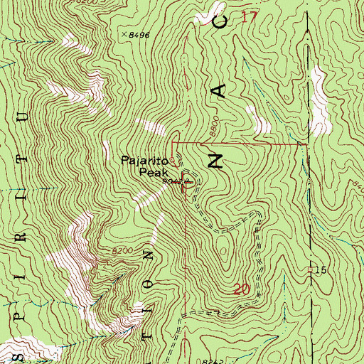 Topographic Map of Pajarito Peak, NM