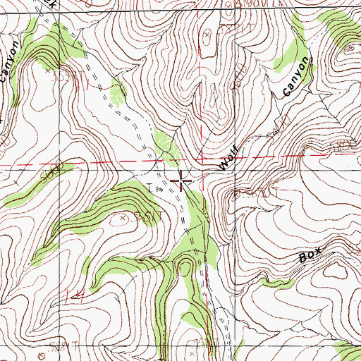 Topographic Map of Wolf Canyon, NM