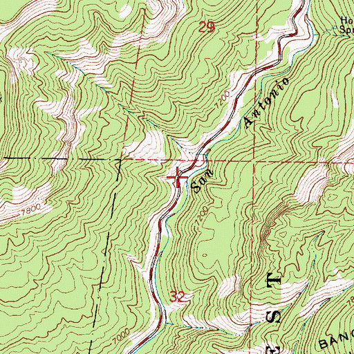 Topographic Map of Indian Head Picnic Ground, NM