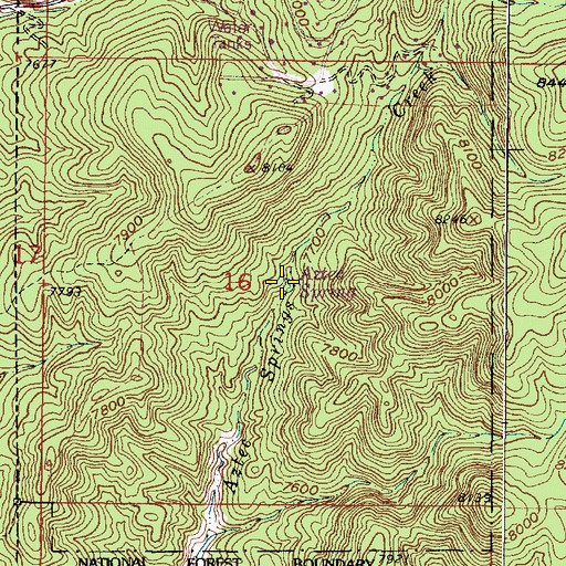 Topographic Map of Aztec Spring, NM