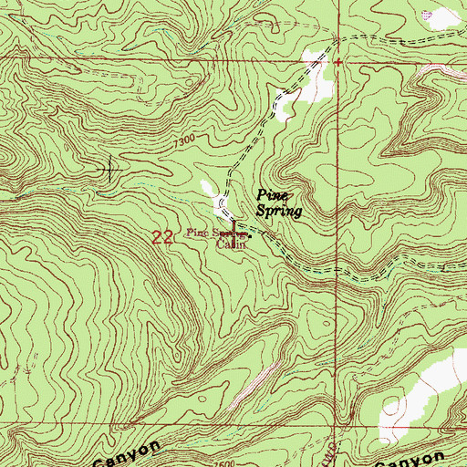 Topographic Map of Pine Spring Cabin, NM