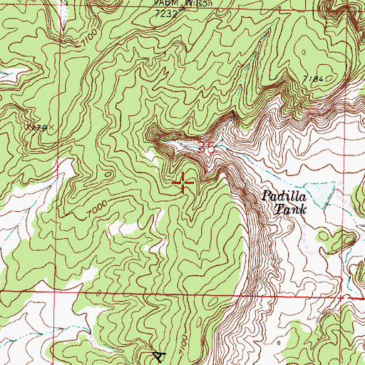 Topographic Map of Anderson Mine, NM