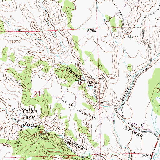 Topographic Map of Burt Thomas Mine, NM