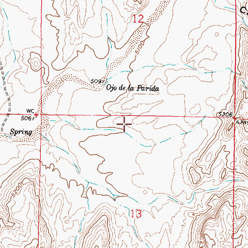 Topographic Map of Elaine Barite Prospect, NM