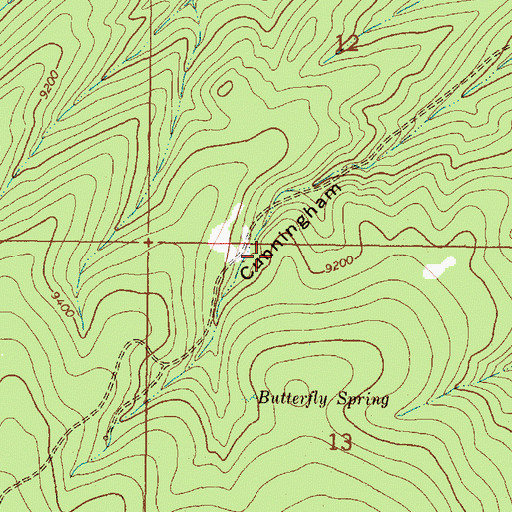 Topographic Map of Black Copper Prospect, NM