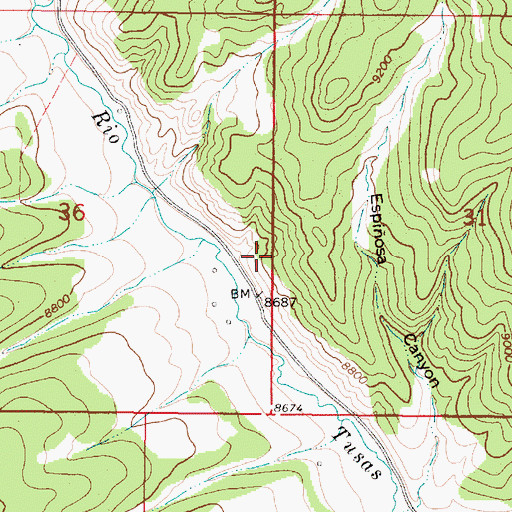 Topographic Map of Asiatic Group, NM