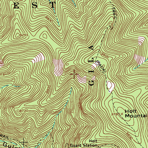 Topographic Map of Holt Canyon Prospects, NM