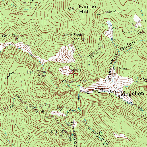 Topographic Map of Horace Lode, NM