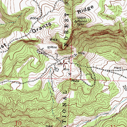 Topographic Map of Scojohn Group, NM