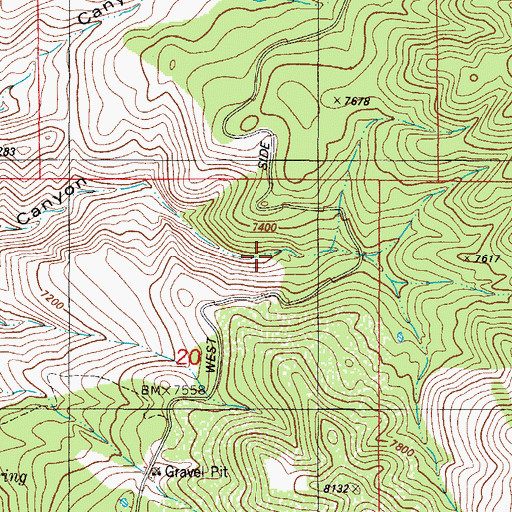 Topographic Map of Black Bear, NM