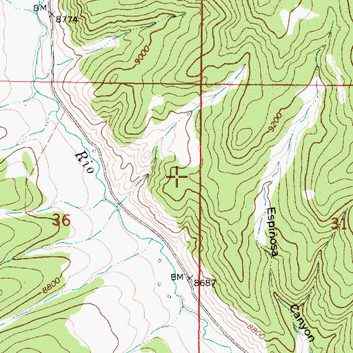 Topographic Map of Royal Purple Group, NM